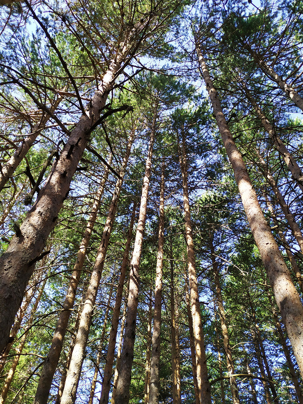 escapadas en la naturaleza