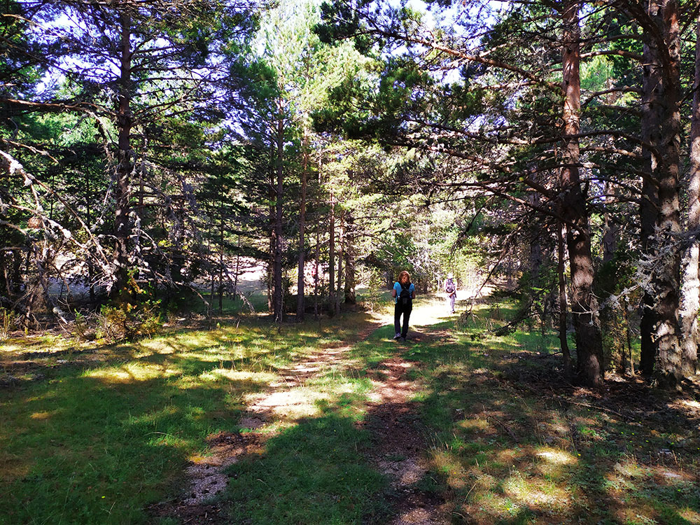 escapadas en la naturaleza
