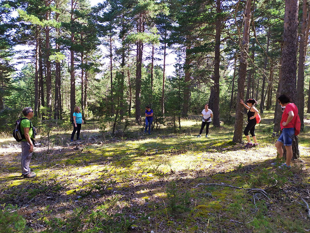 actividades de conexión con la naturaleza